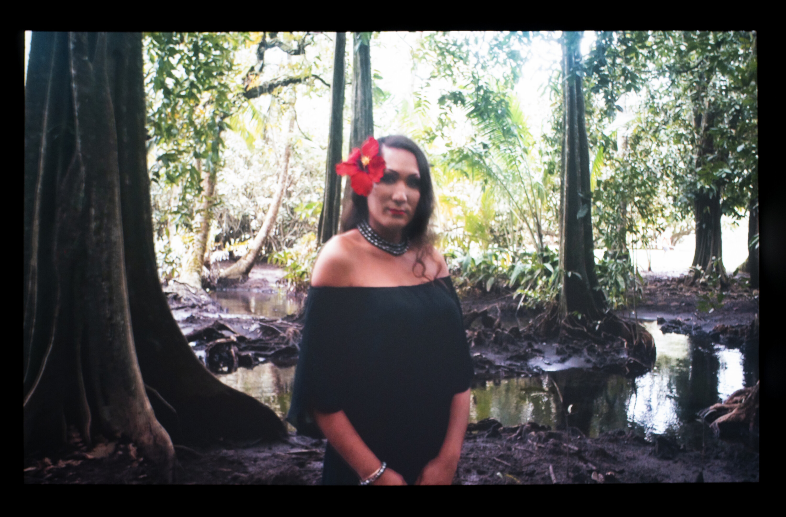 Vue d'expo_Tahiti-Kehinde Wiley_GDT_2019_(c)bertrand Huet:Tutti_Video 7 copy